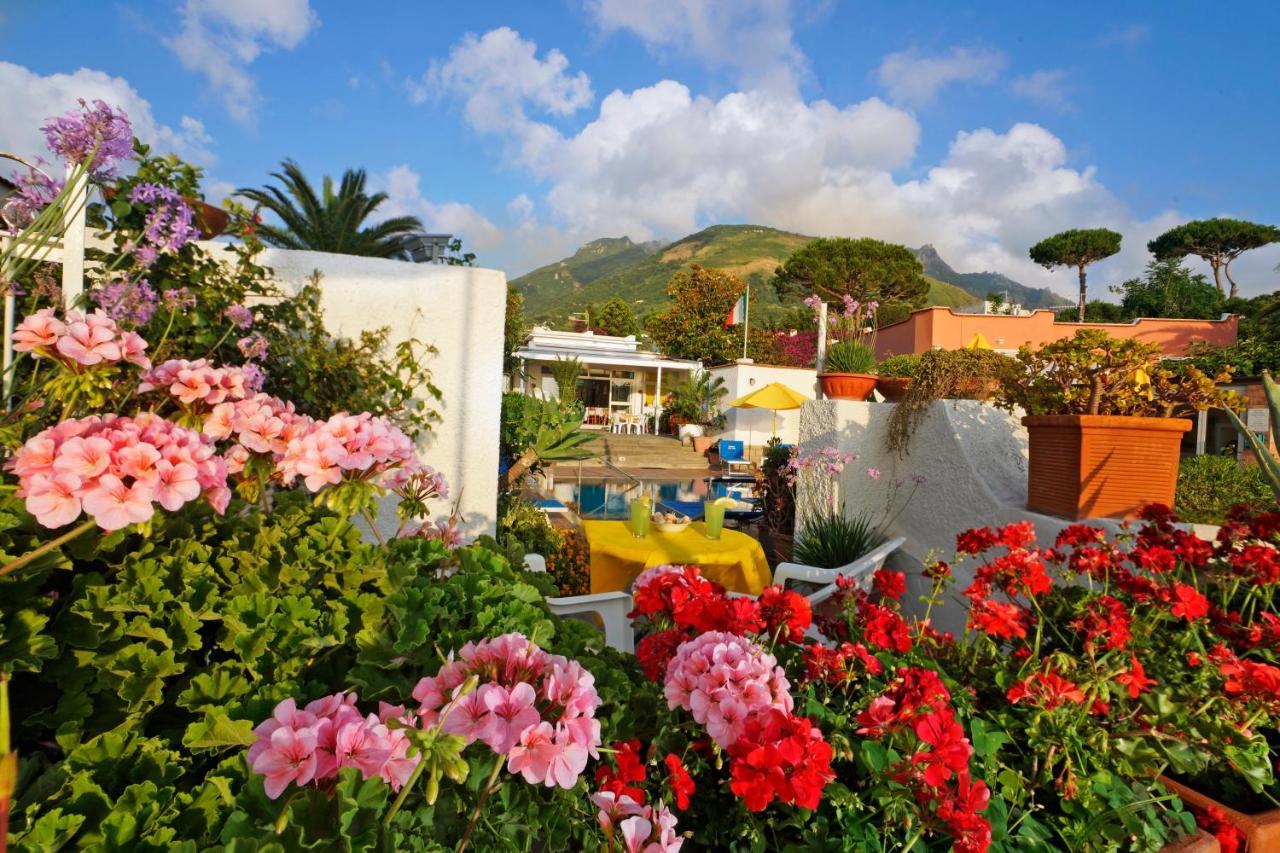 Hotel Villa Mena Forio di Ischia 외부 사진